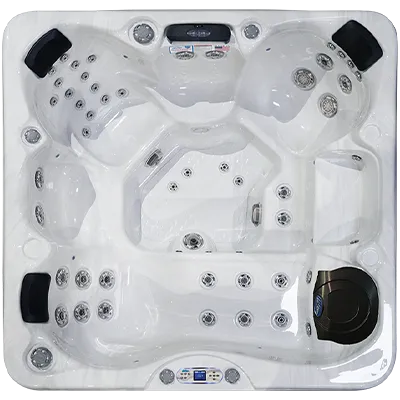 Avalon EC-849L hot tubs for sale in Rockhill