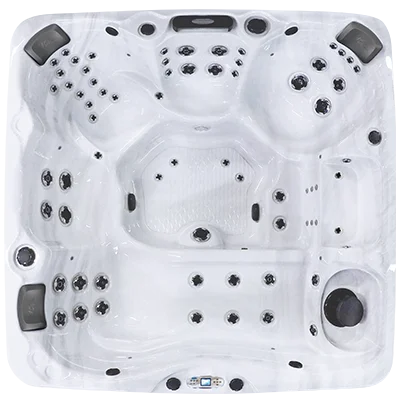 Avalon EC-867L hot tubs for sale in Rockhill